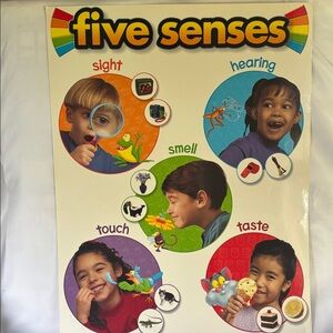 LAMINATED FIVE SENSES EDUCATIONAL POSTER FOR KIDS